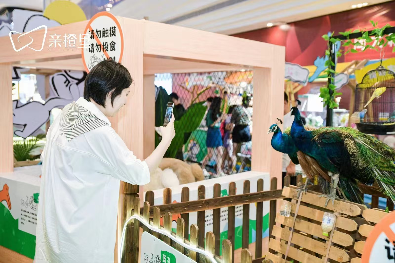 策划活动价格实惠